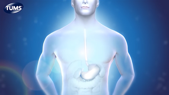How Does TUMS Work